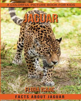 Book cover for Facts About Jaguar A Colorful Picture Book For Kids