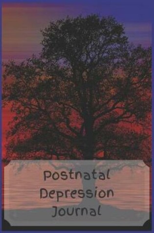 Cover of Postnatal Depression Journal