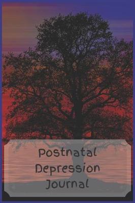 Book cover for Postnatal Depression Journal