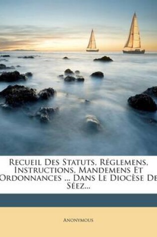 Cover of Recueil Des Statuts, Reglemens, Instructions, Mandemens Et Ordonnances ... Dans Le Diocese De Seez...