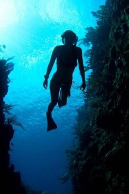 Book cover for Caribbean Freediver (Free Diver) Journal