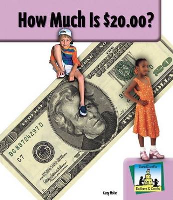 Book cover for How Much Is $20.00? eBook