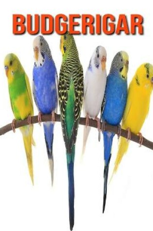 Cover of Budgerigar