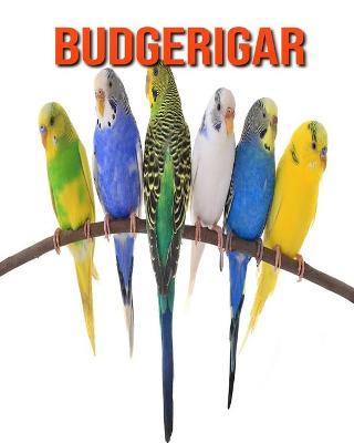 Book cover for Budgerigar