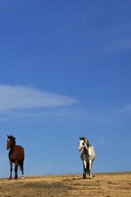 Book cover for Journal Horses Sky Equine