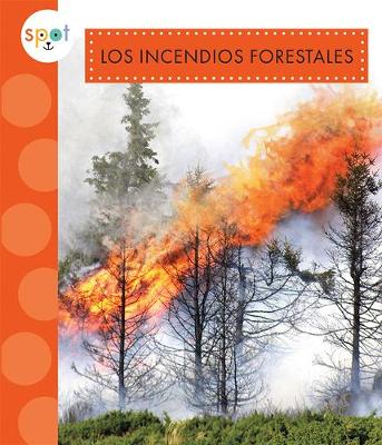 Book cover for Los Incendios Forestales