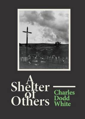 Book cover for A Shelter of Others