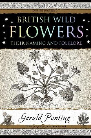 Cover of British Wild Flowers