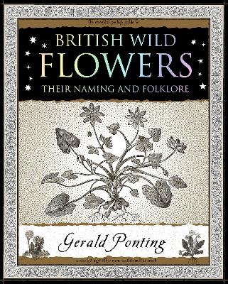Book cover for British Wild Flowers