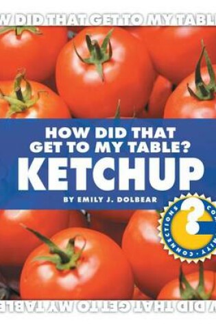 Cover of Ketchup