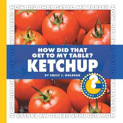 Book cover for Ketchup