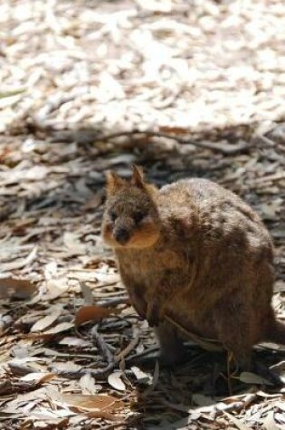 Cover of Cute Little Quokka Sitting in the Shade Journal