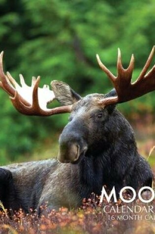 Cover of Moose Calendar 2020