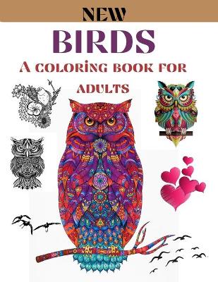 Book cover for Birds a coloring book for adults