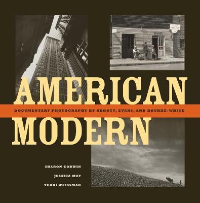 Book cover for American Modern