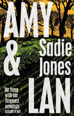 Book cover for Amy and Lan