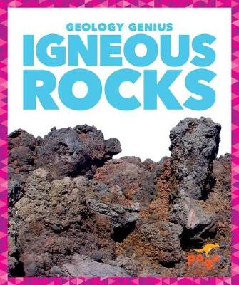 Book cover for Igneous Rocks