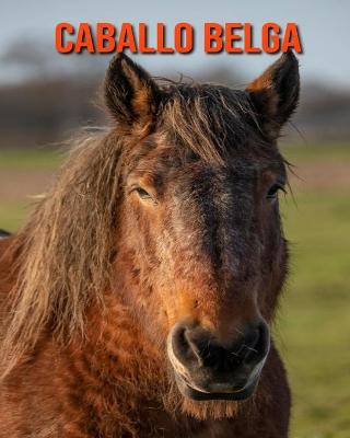 Book cover for Caballo belga