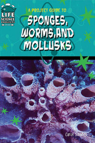 Cover of A Project Guide to Sponges, Worms, and Mollusks