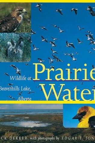Cover of Prairie Water