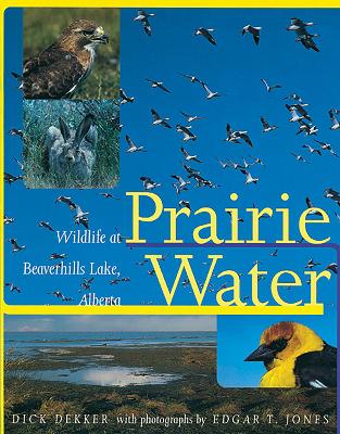 Book cover for Prairie Water