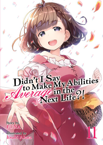 Book cover for Didn't I Say to Make My Abilities Average in the Next Life?! (Light Novel) Vol. 11
