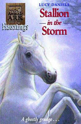 Cover of Stallion in the Storm