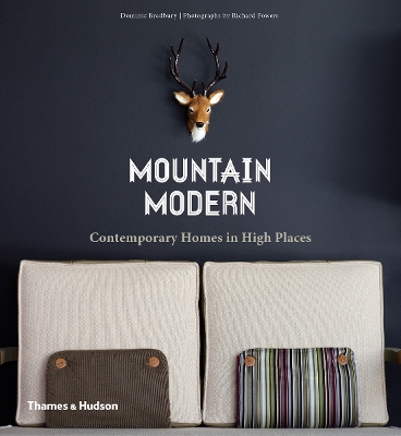 Book cover for Mountain Modern