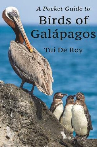 Cover of A Pocket Guide to Birds of Galapagos