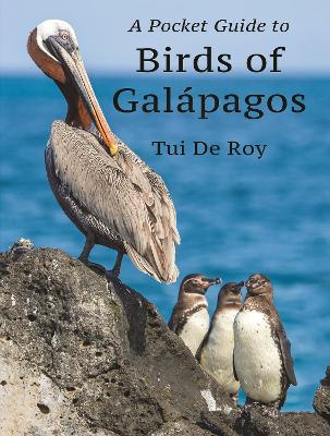 Book cover for A Pocket Guide to Birds of Galapagos