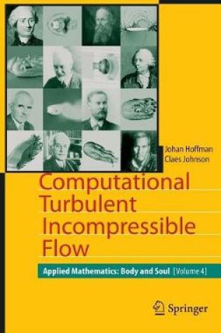 Cover of Computational Turbulent Incompressible Flow