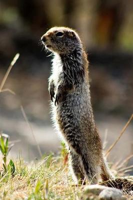 Book cover for My Favorite Animal, Ground Squirrel Journal