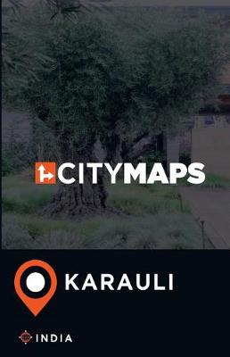 Book cover for City Maps Karauli India