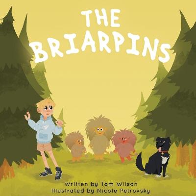 Book cover for The Briarpins