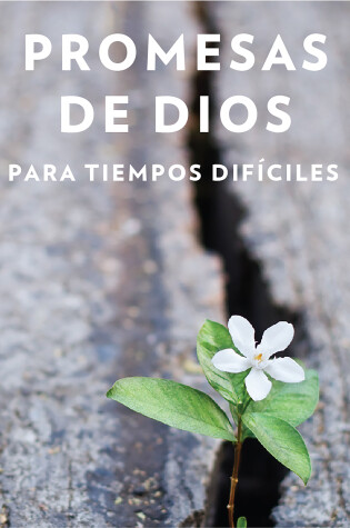 Cover of Promesas de Dios para tiempos dificiles / God s Promises when you are hurting