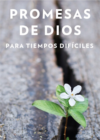 Book cover for Promesas de Dios para tiempos dificiles / God s Promises when you are hurting