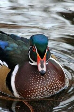 Cover of Waterfowl Notebook