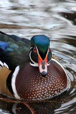 Book cover for Waterfowl Notebook