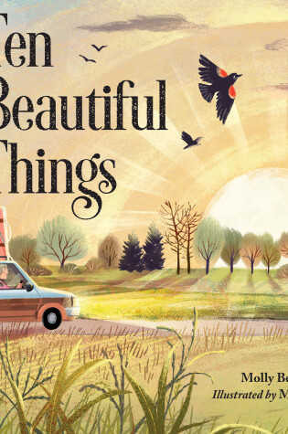 Cover of Ten Beautiful Things