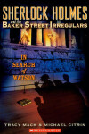 Book cover for In Search of Watson