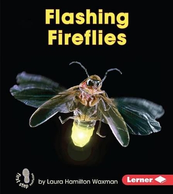 Book cover for Flashing Fireflies