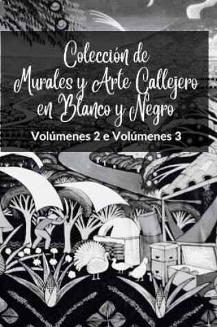 Cover of Colecci�n de Murales y Arte Callejero en Blanco y Negro - Vol�menes 2 y 3