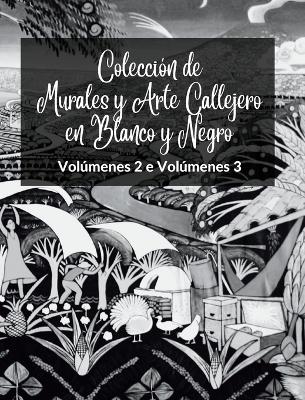 Book cover for Colección de Murales y Arte Callejero en Blanco y Negro - Volúmenes 2 y 3