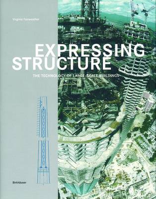 Book cover for Expressing Structure