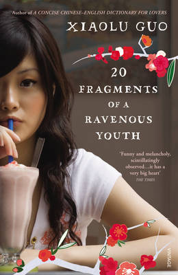Book cover for 20 Fragments of a Ravenous Youth