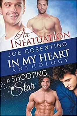 Book cover for In My Heart - An Infatuation & A Shooting Star Volume 3