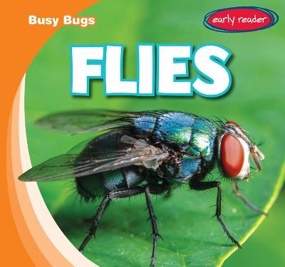 Book cover for Flies