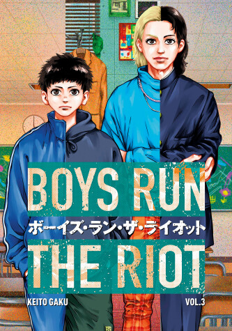 Book cover for Boys Run the Riot 3