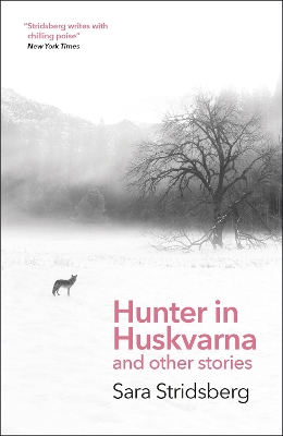 Book cover for Hunter in Huskvarna