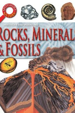 Cover of Rocks Minerals and Fossils